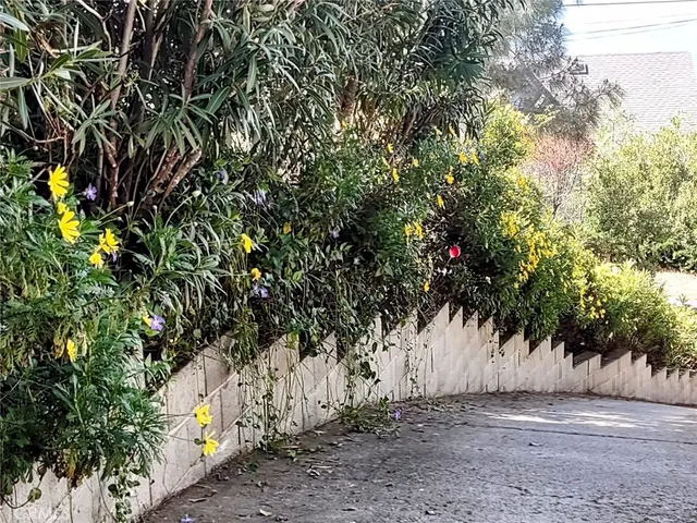 a view of backyard with large trees