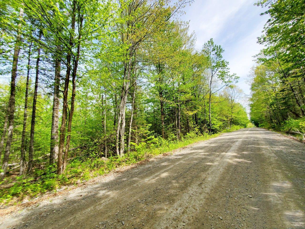 Lot 5 Maple Road Milo, ME 04463 - Photo 18 of 20 20260523_135600 adj