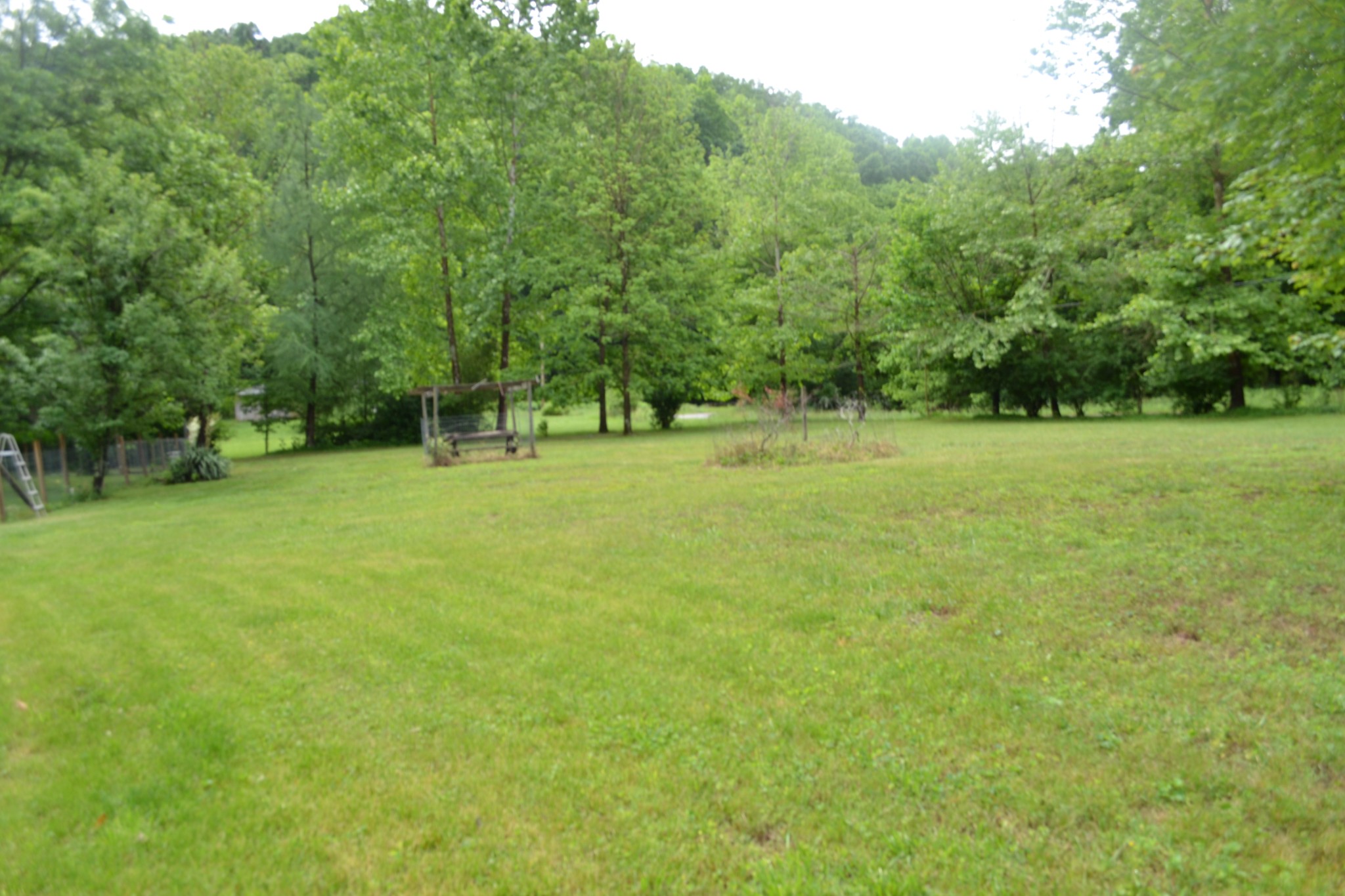 1505 Add Stafford Road Hilham, TN 38568 - Photo 49 of 65 a view of a field with trees in the background
