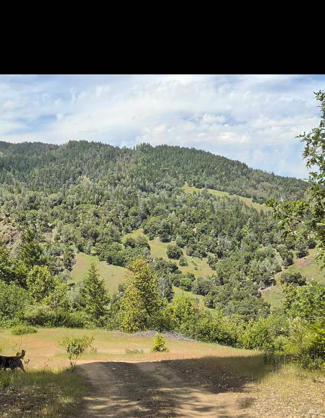 7020 Dos Rios Road Dos Rios, CA 95429 - Photo 33 of 37