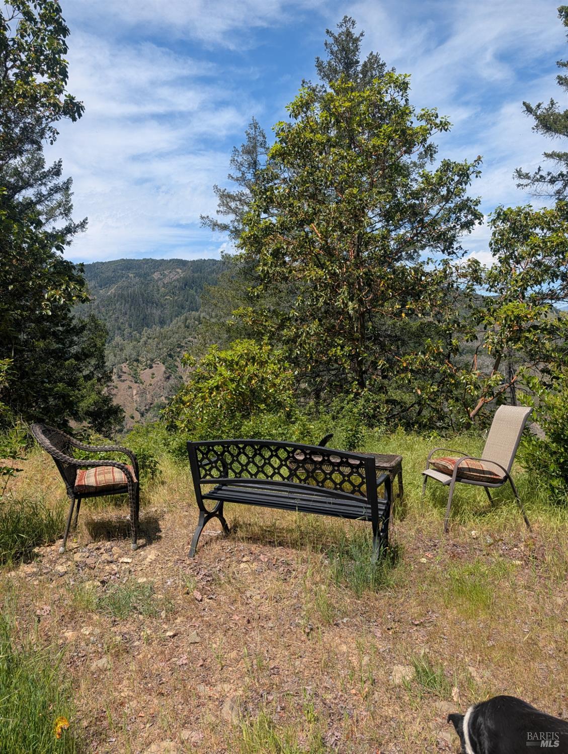7020 Dos Rios Road Dos Rios, CA 95429 - Photo 4 of 37 a view of a bench in a backyard