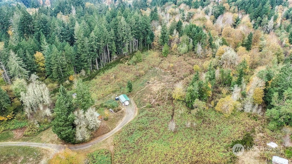 18759 Erickson Road Southwest Longbranch, WA 98349 - Photo 1 of 7 a view of a forest with trees