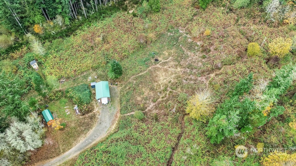 18759 Erickson Road Southwest Longbranch, WA 98349 - Photo 2 of 7 a view of a yard with plants and large trees