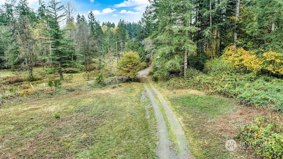 18759 Erickson Road Southwest Longbranch, WA 98349 - Photo 4 of 7 a yard with lots of trees