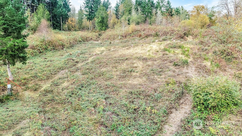 18759 Erickson Road Southwest Longbranch, WA 98349 - Photo 6 of 7 a view of a yard with large trees