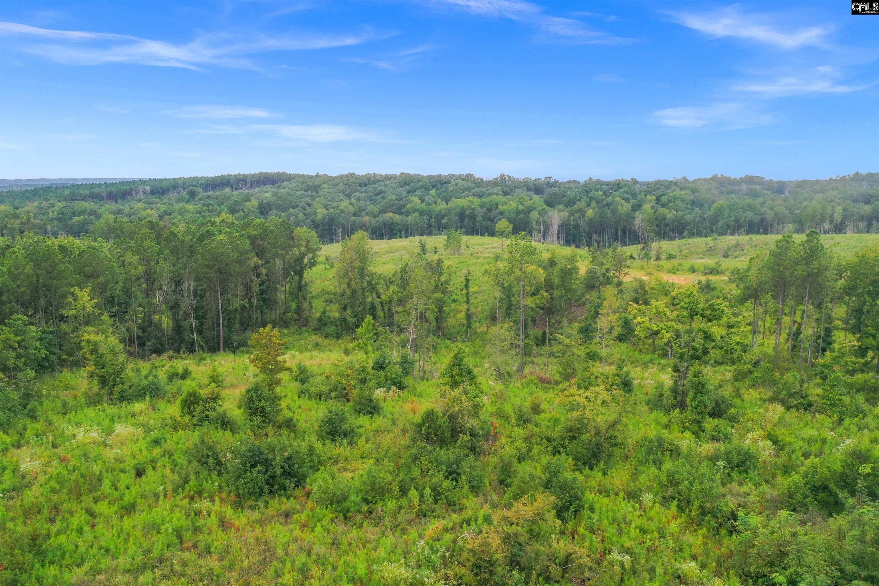 0 Penner Road, Unit 7 Jenkinsville, SC 29065 - Photo 7 of 36