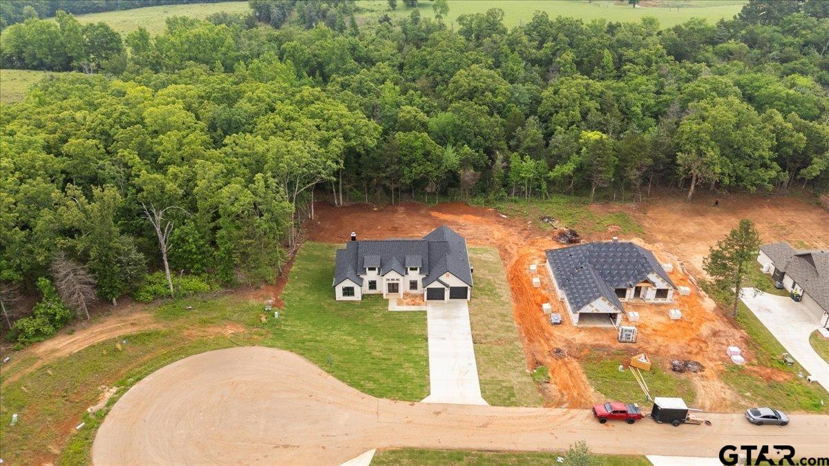 19462 Cedarpark Place Lindale, TX 75771 - Photo 48 of 48 a view of a lake with houses
