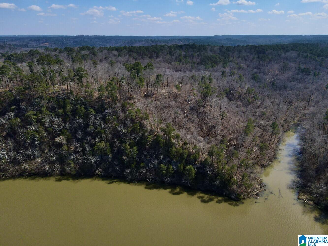 219 Pine Ridge Road, Unit 1 Bessemer, AL 35023 - Photo 34 of 46