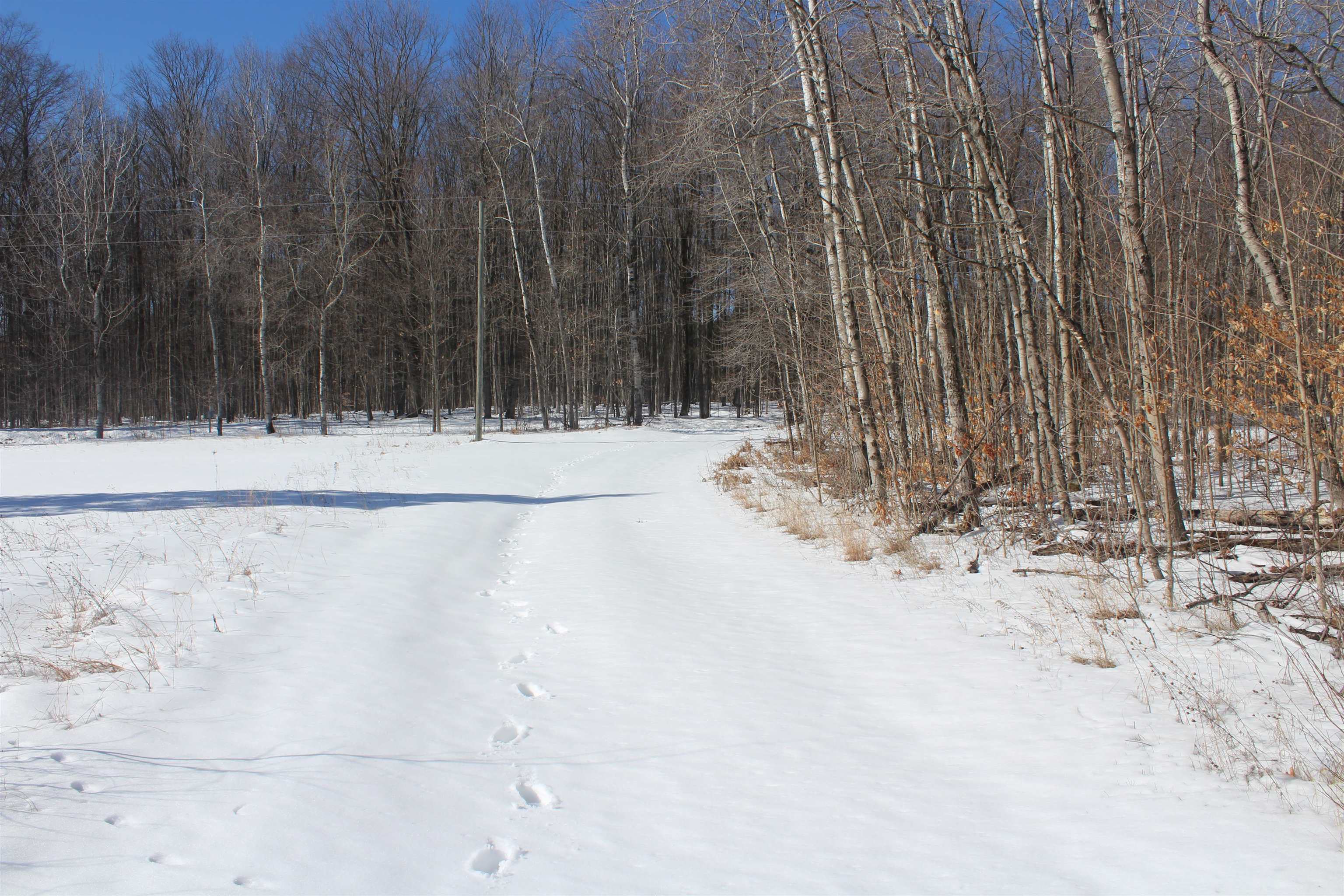 Vl Southeast Vl Se Crouch Road Fife Lake, MI 49633 - Photo 1 of 19
