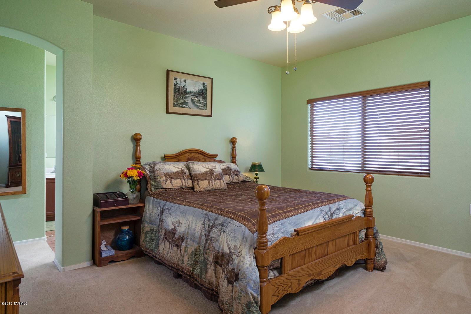 5012 North Sabi Road Marana, AZ 85653 - Photo 17 of 18 Gallery Image 17