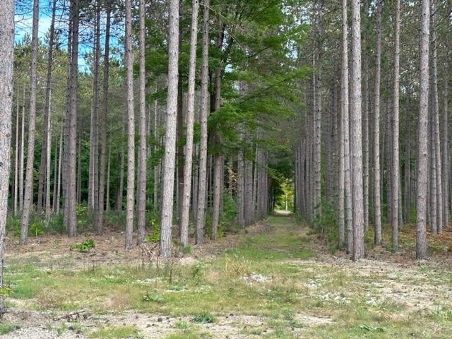 Lot 38 Cascade Trail Traverse City, MI 49685 - Photo 3 of 11