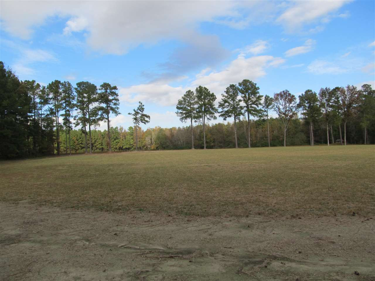 Sheriff Johnson Road Lillington, NC 27546 - Photo 4 of 18 Photo 4