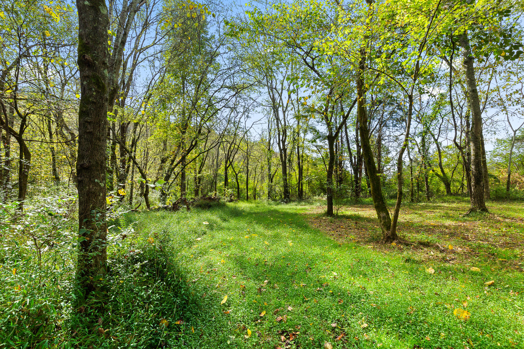 286 Walker Valley Road Northwest Cleveland, TN 37312 - Photo 22 of 27 Back Yard