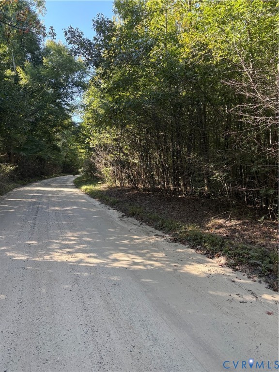 1 Doswell Town Road Meherrin, VA 23954 - Photo 2 of 5 Gravel road featuring a wooded perimeter with matu