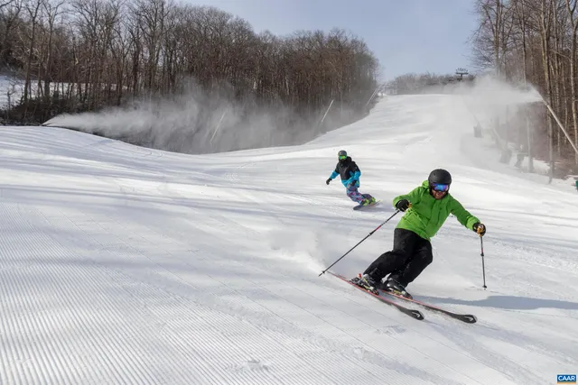 a view of a swimming pool with a yard