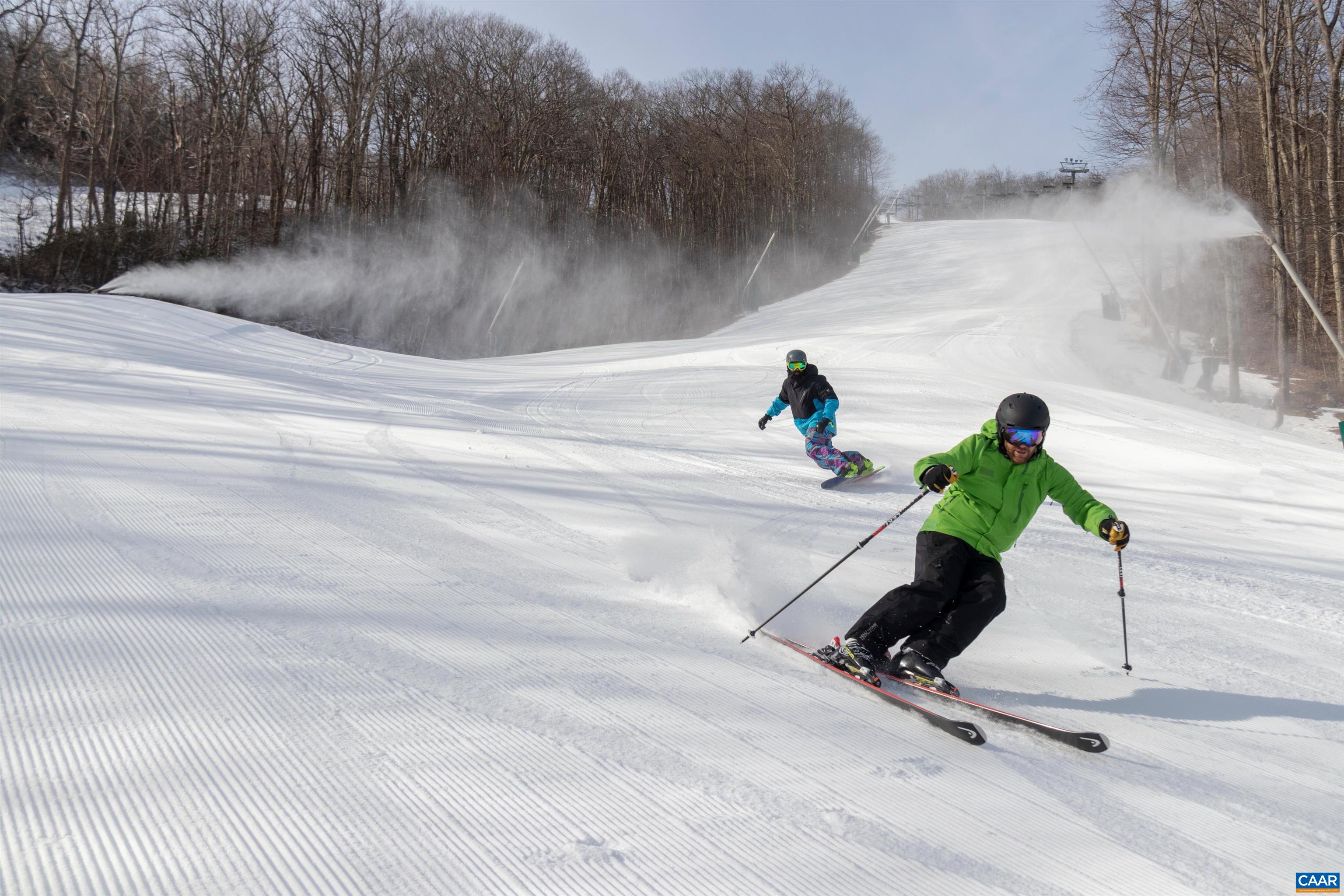 2031 Stone Ridge Wintergreen, VA 22967 - Photo 19 of 23 a view of a swimming pool with a yard