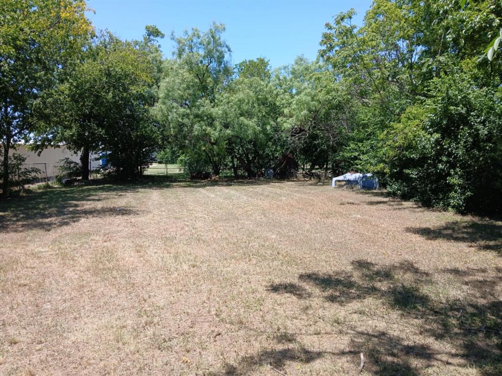 2010 Nowlin Road Coleman, TX 76834 - Photo 6 of 7