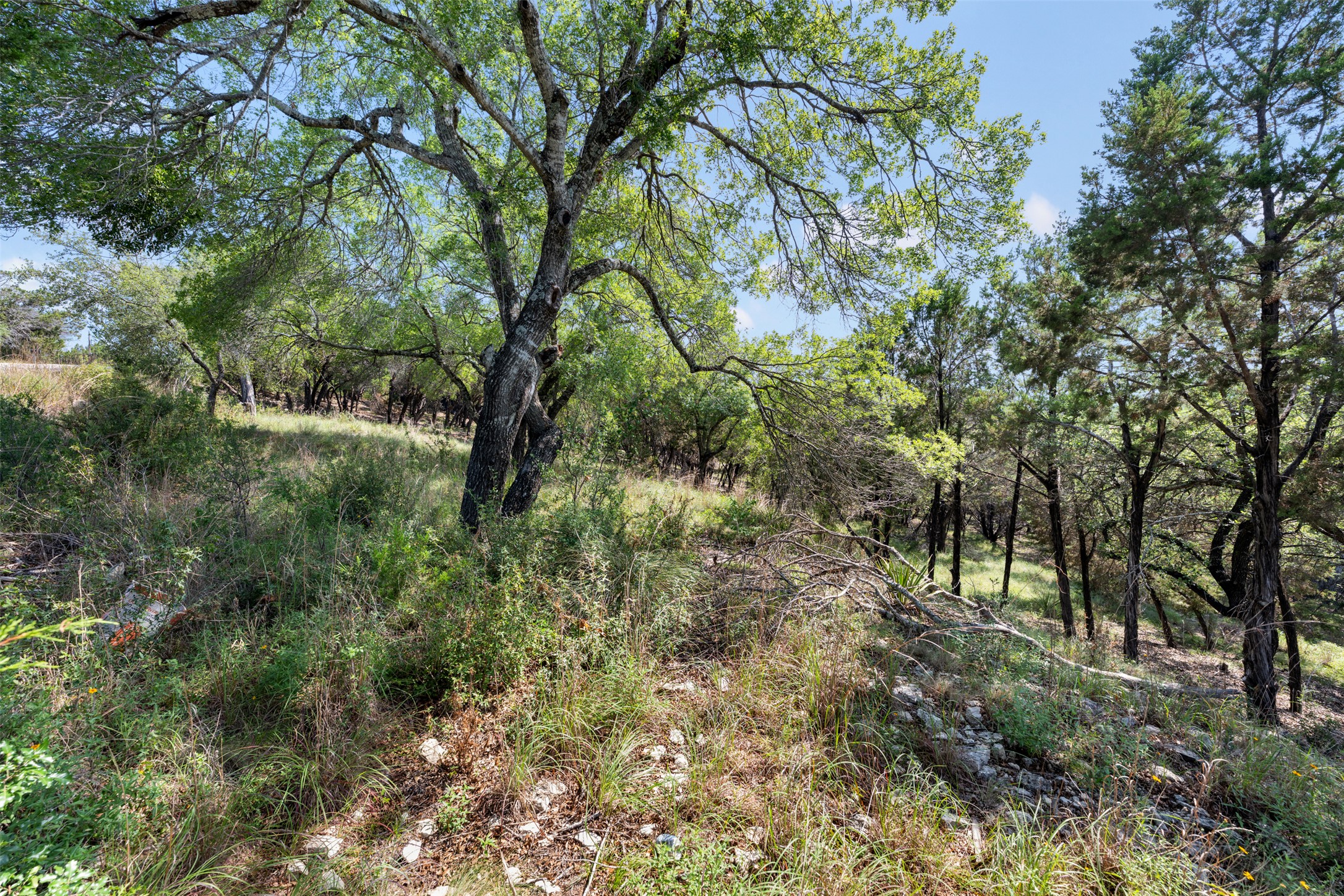 21105 Ridgeview Road Lago Vista, TX 78645 - Photo 31 of 34 A natural, untamed lot awaits with mature trees and native flora for a serene escape.