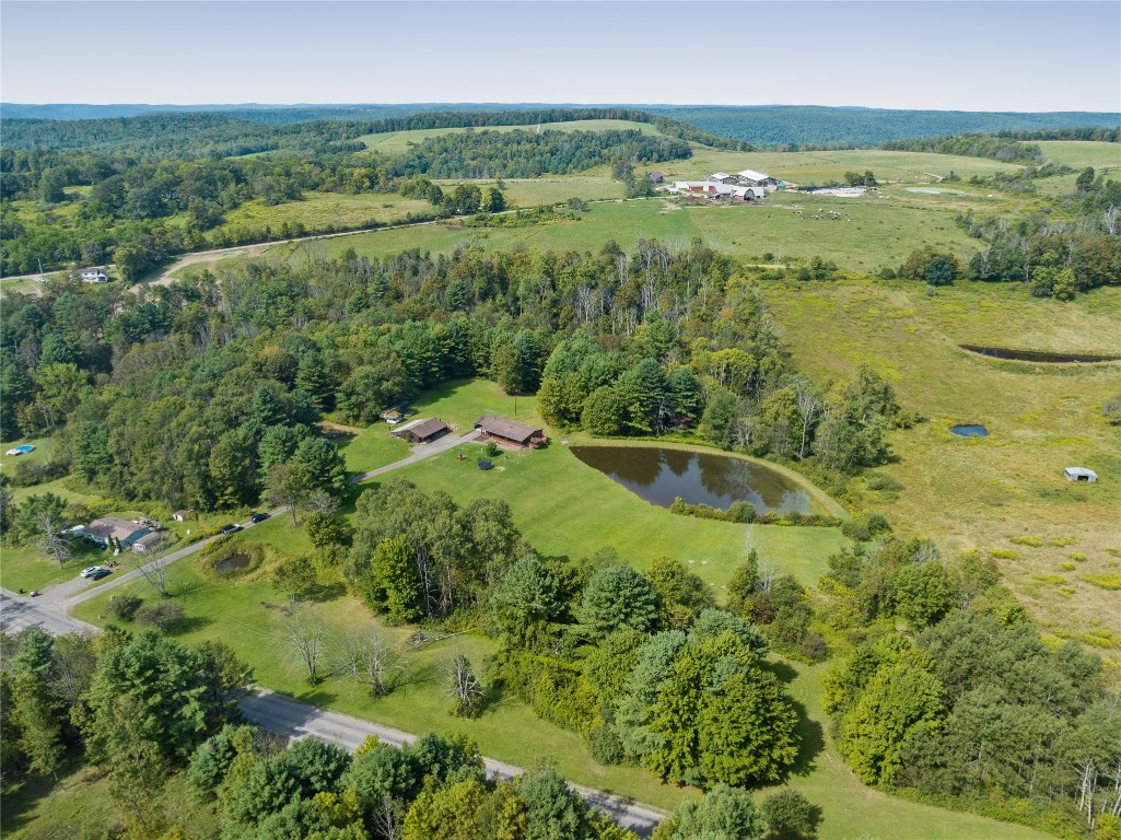 438 Honeypot Road Candor, NY 13743 - Photo 2 of 35