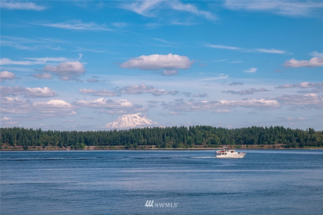 14117 Lyle Point Road Anderson Island, WA 98303 - Photo 25 of 25