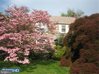 7459 Elizabeth Road Elkins Park, PA 19027 - Photo 2 of 12 Gallery Image 2