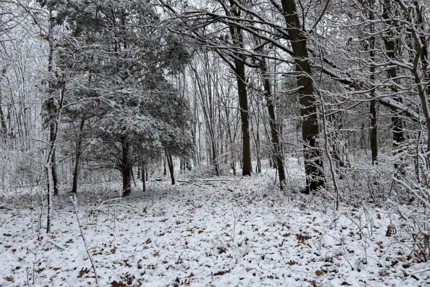 West Mosherville Road Litchfield, MI 49252 - Photo 16 of 17 Untitled design (32)