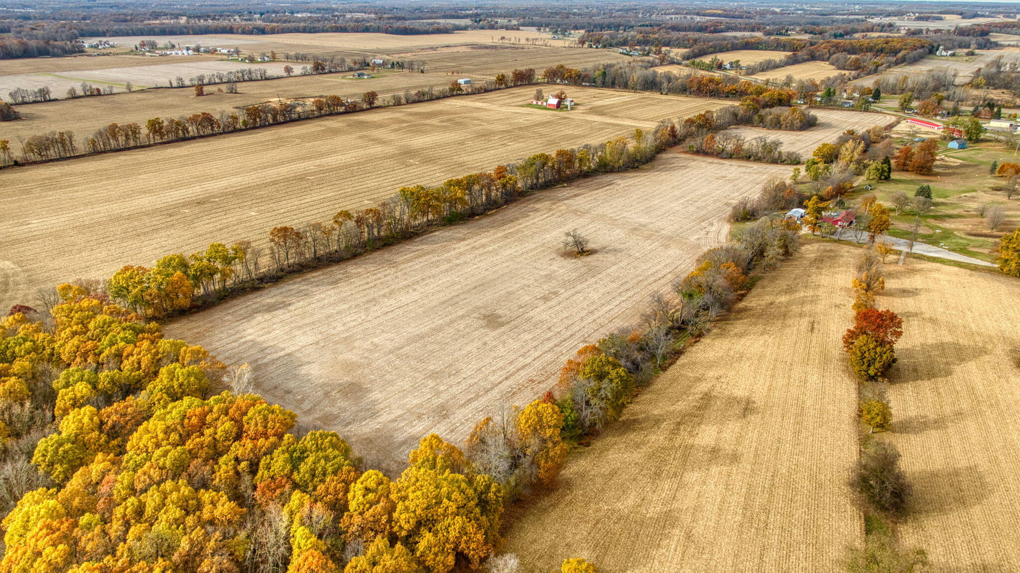 West Mosherville Road Litchfield, MI 49252 - Photo 6 of 17 5-web-or-mls-DJI_0907_HDR