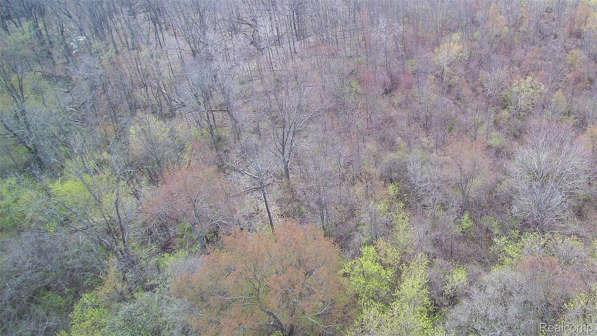 1370 East Cook Road Grand Blanc, MI 48439 - Photo 31 of 34 Aerial 4.JPG