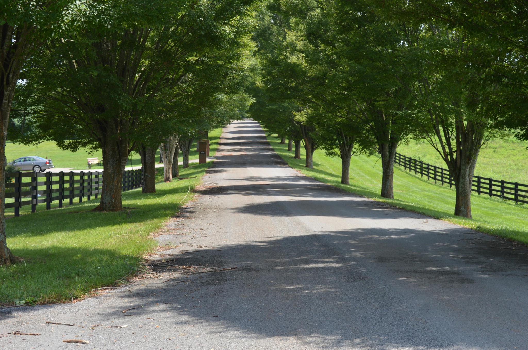 0 Ranch Road Blaine, TN 37709 - Photo 5 of 9 Gallery Image 5