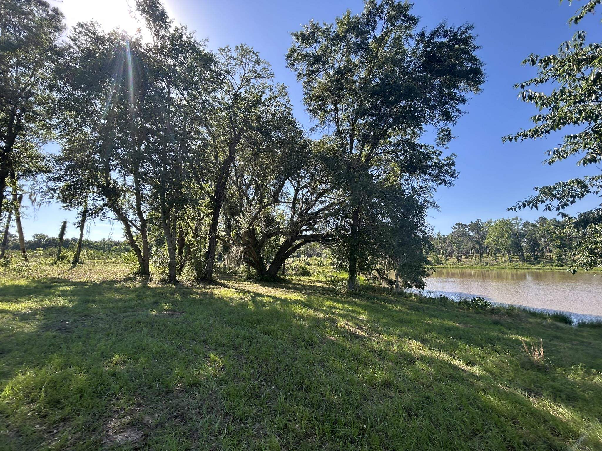 Xxx Ben Bostick Road Quincy, FL 32351 - Photo 1 of 20