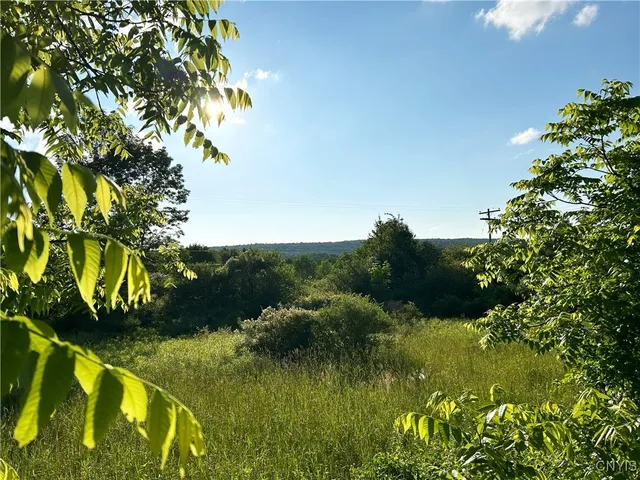 $25,000 | 0 Syrian Hill Road, McGraw, NY 13101