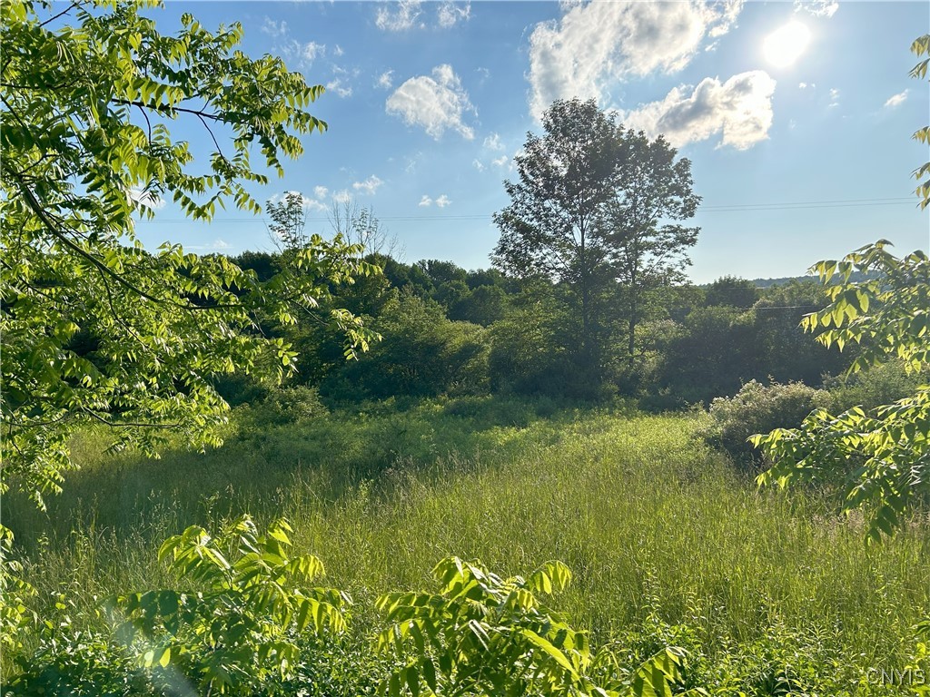 0 Syrian Hill Road McGraw, NY 13101 - Photo 2 of 8