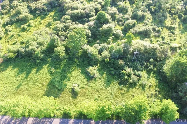 $25,000 | 0 Syrian Hill Road, McGraw, NY 13101