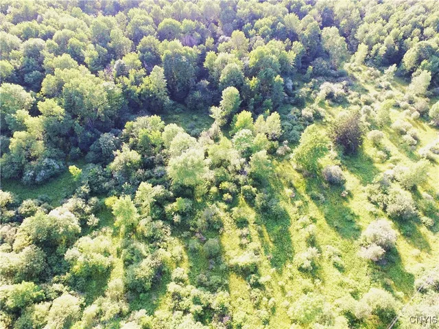 $25,000 | 0 Syrian Hill Road, McGraw, NY 13101