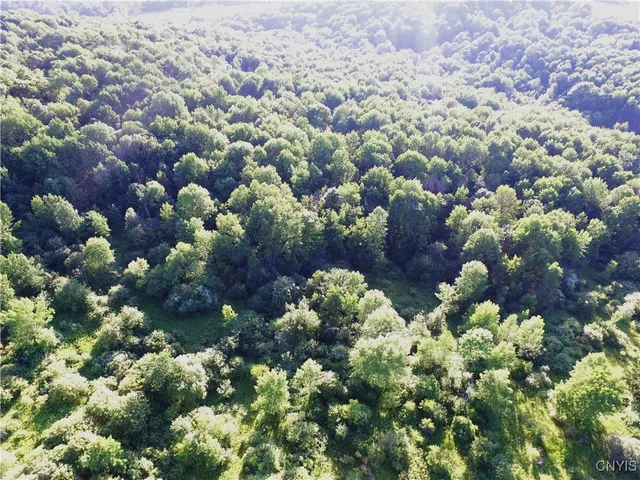 $25,000 | 0 Syrian Hill Road, McGraw, NY 13101