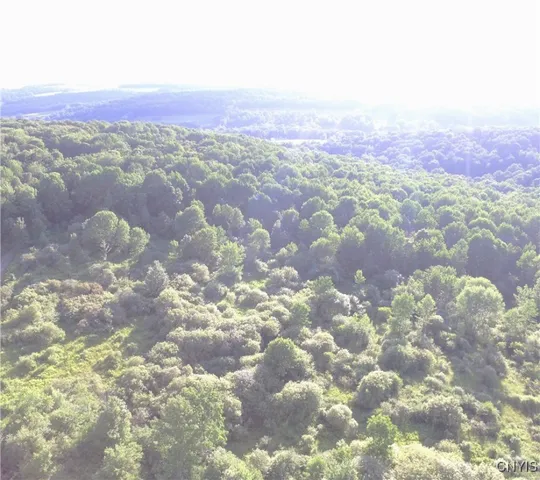 $25,000 | 0 Syrian Hill Road, McGraw, NY 13101