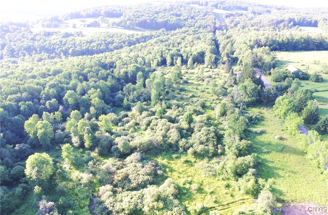 0 Syrian Hill Road McGraw, NY 13101 - Photo 8 of 8