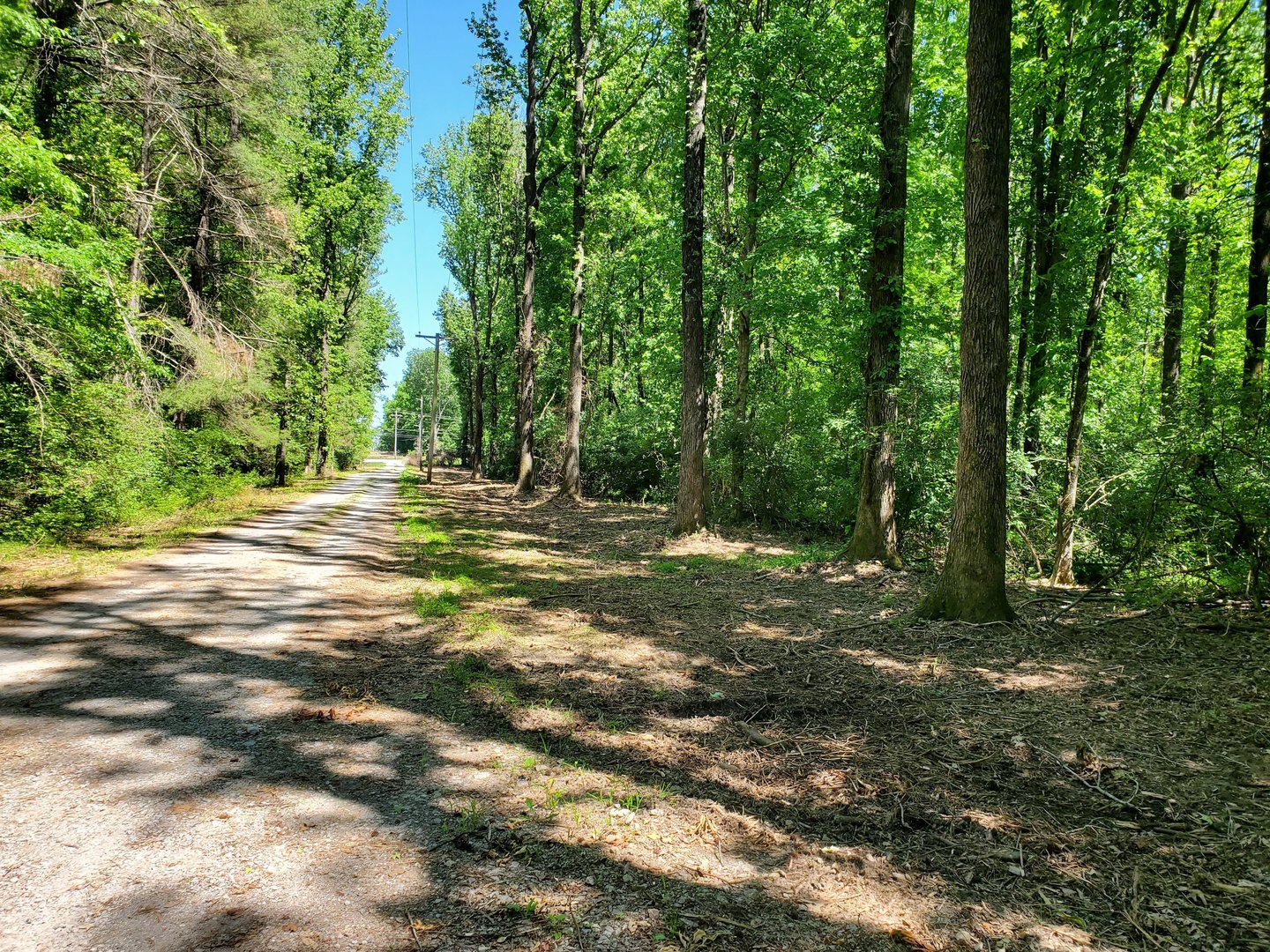 0 Delaware Road Carbondale, IL 62901 - Photo 2 of 7 a view of outdoor space with trees all around
