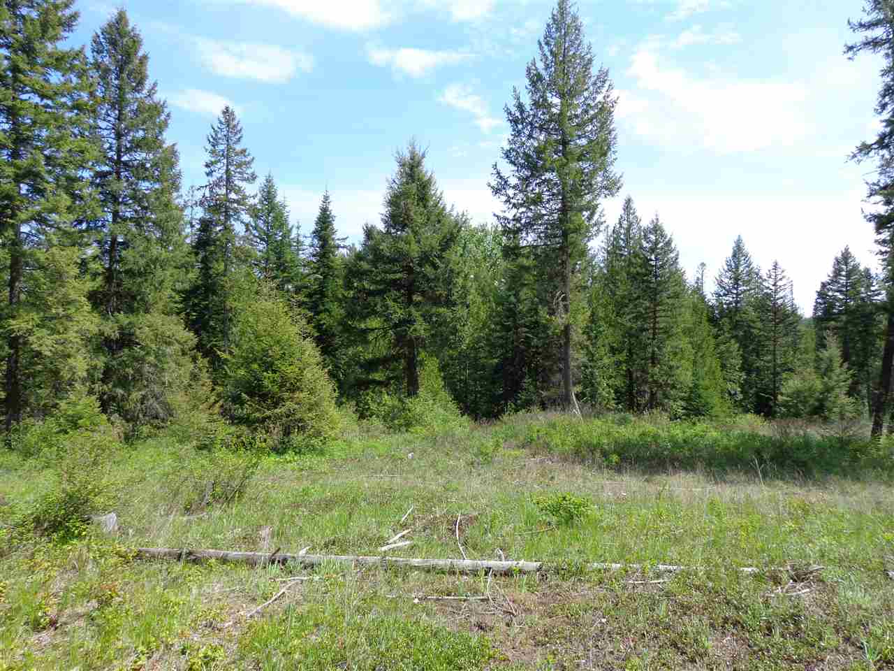 8000 Fertile Valley Road, Unit APPROX ADDRESS Newport, WA 99156 - Photo 14 of 20 Gallery Image 14