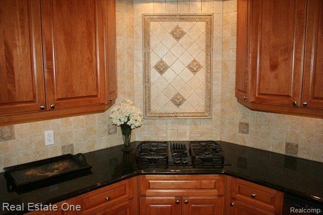 5035 Cloisters Boulevard Rochester, MI 48306 - Photo 3 of 23 kitchen-stove.JPG
