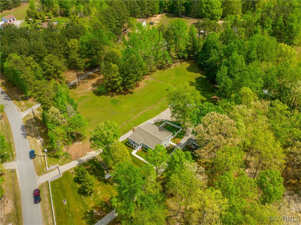 7111 Ledo Road Moseley, VA 23120 - Photo 40 of 47 a view of a yard with plants and large trees