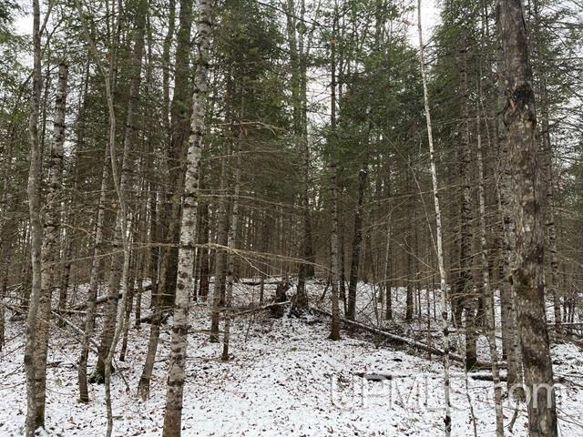 545 South Rd Skandia Mi 49885 Road Skandia, MI 49885 - Photo 26 of 38
