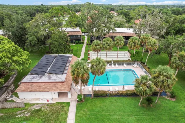 an aerial view of a garden with plants