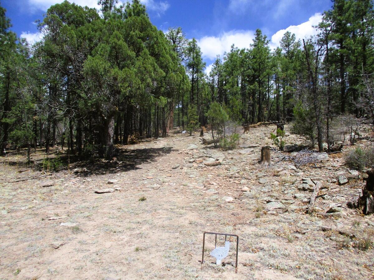 160 Black Bear Road Ramah, NM 87321 - Photo 75 of 103 Gallery Image 75