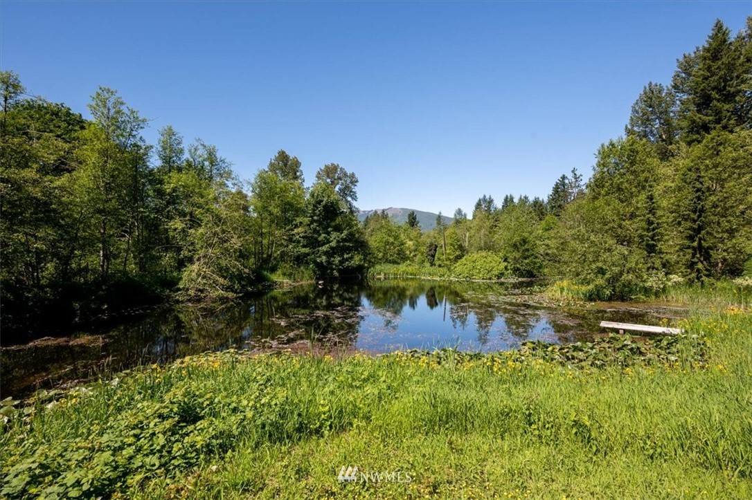 4214 Linnell Road Deming, WA 98244 - Photo 40 of 40 a view of a lake view