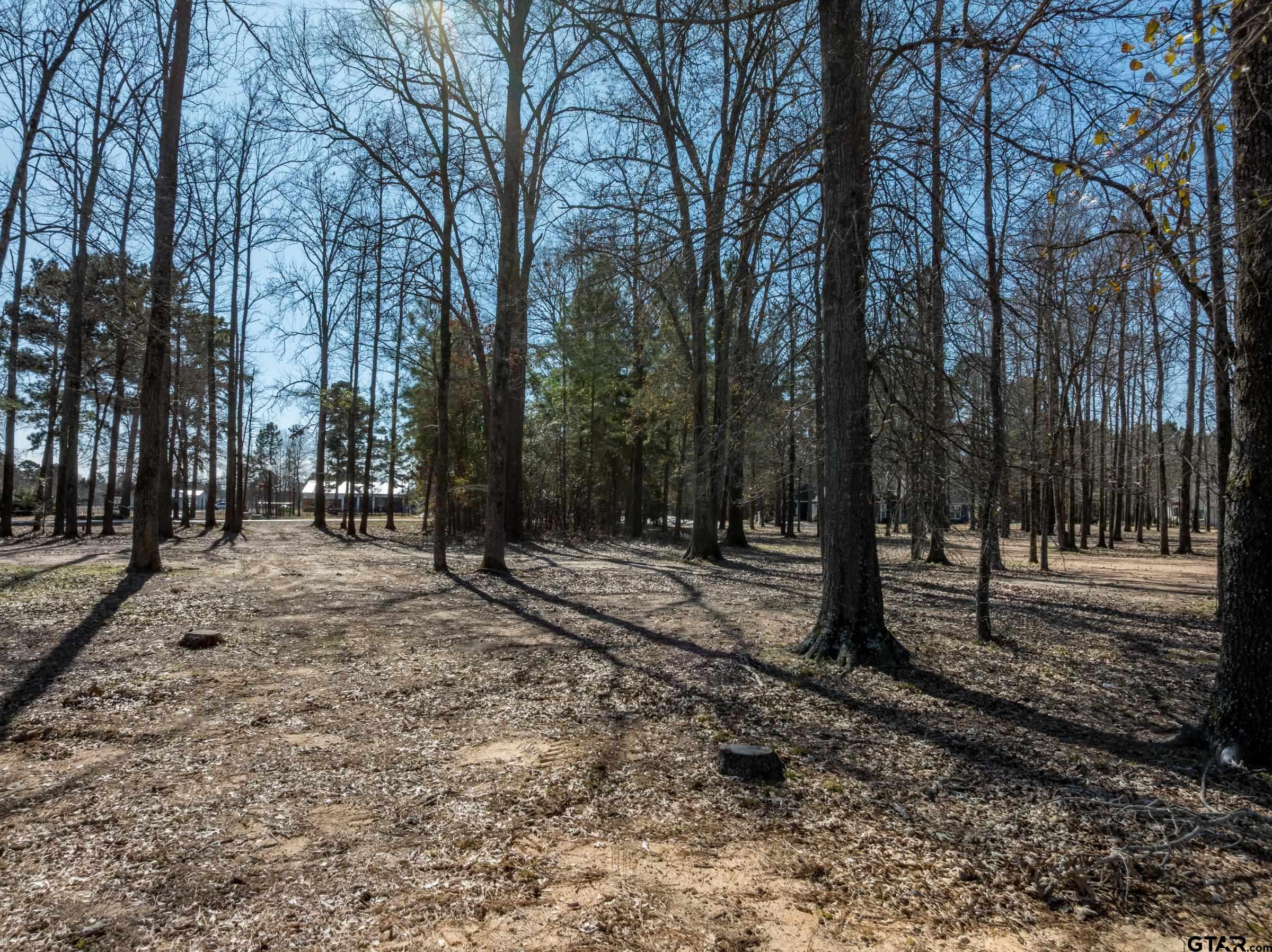 5670 Nathan Drive Chandler, TX 75758 - Photo 5 of 18 a view of a forest with trees