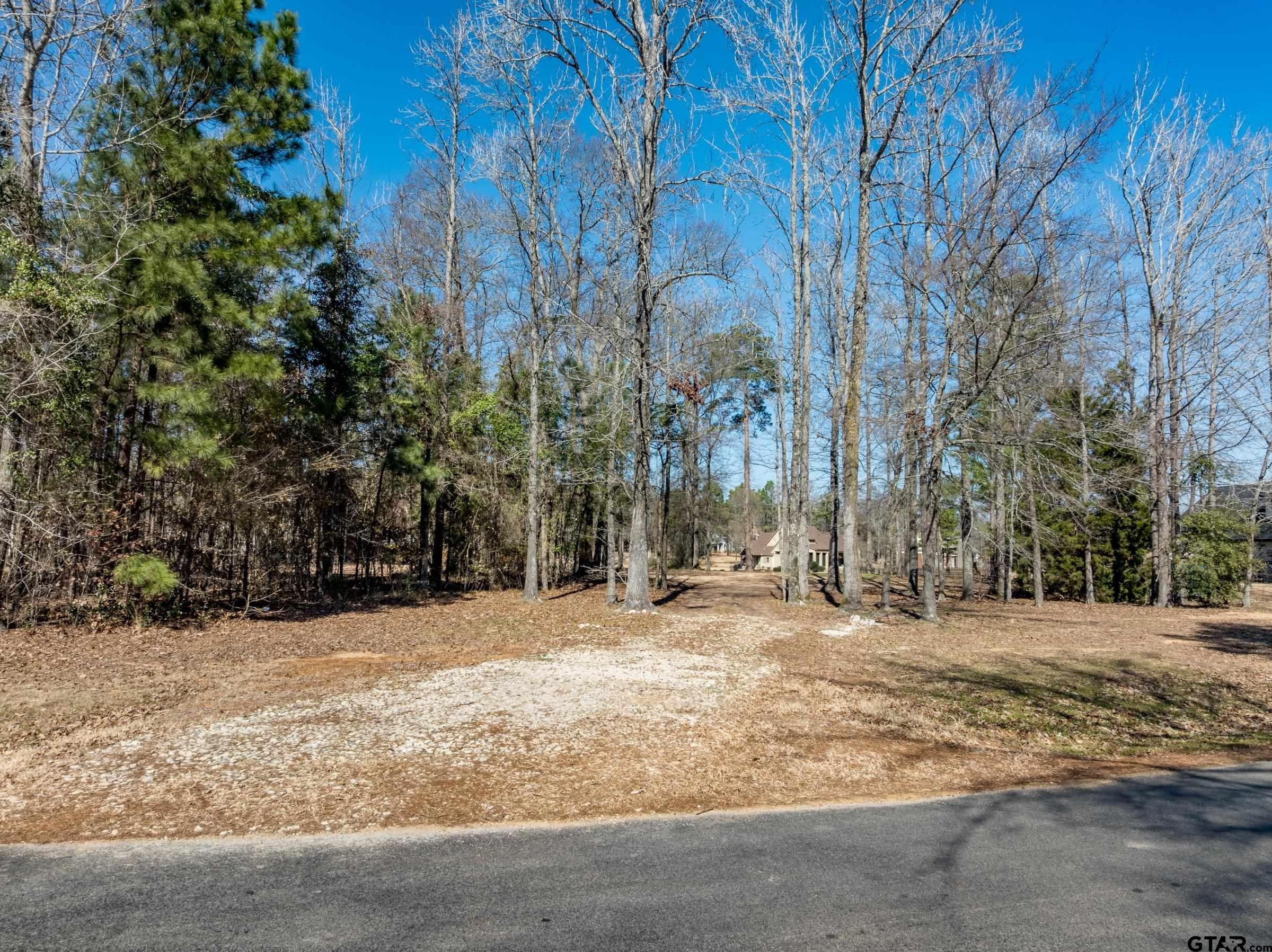 5670 Nathan Drive Chandler, TX 75758 - Photo 6 of 18 a backyard of a house with trees