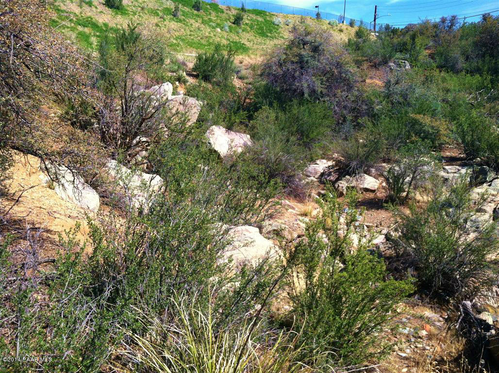 2393 River Trail Road Prescott, AZ 86301 - Photo 19 of 21 IMG_4349 (Medium)
