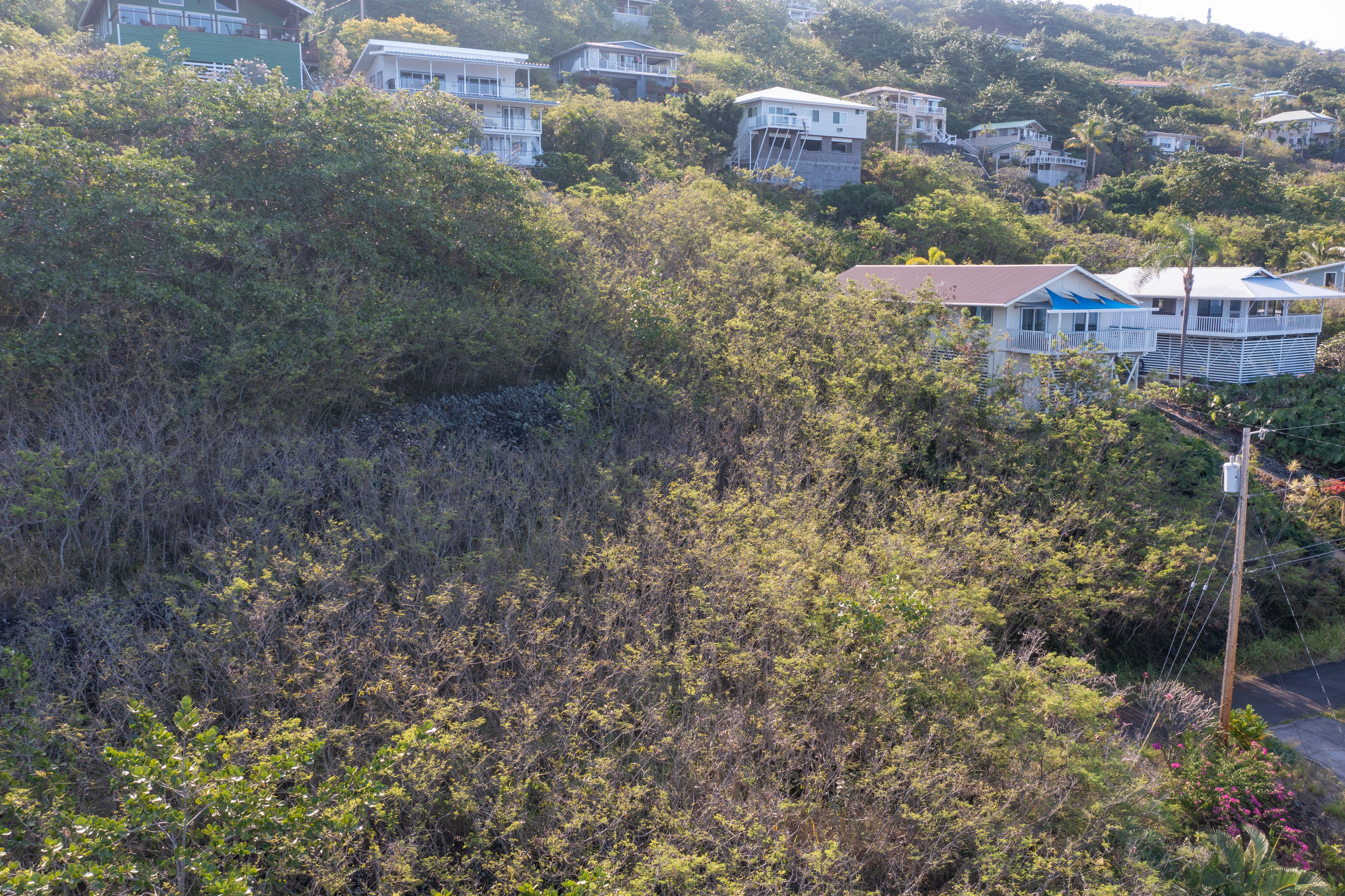 188 Guava Road Captain Cook, HI 96704 - Photo 14 of 28