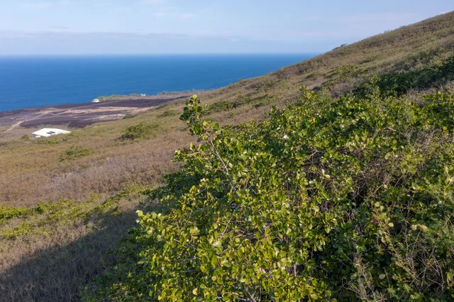 $119,000 | 188 Guava Road, Captain Cook, HI 96704